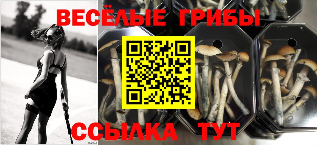 Галлюциногенные грибы Cubensis  Галлюциногенные грибы мухоморы  Вход с VPN  Снежинск 